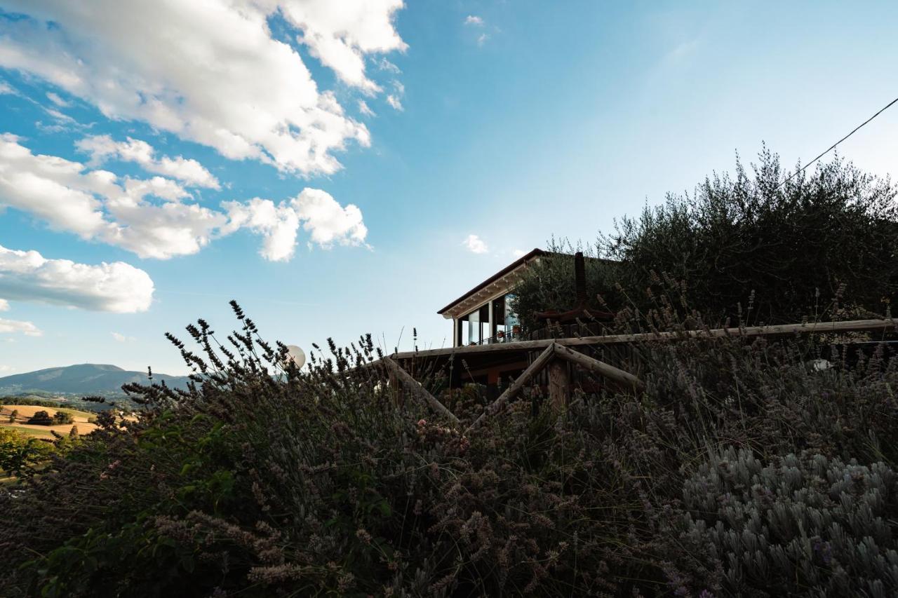 Il Pozzo Country House Collescipoli Екстер'єр фото